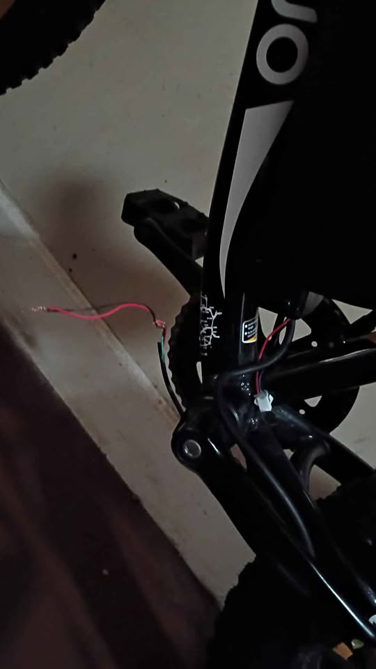EoEo EoEo Two Ebike Fat tires