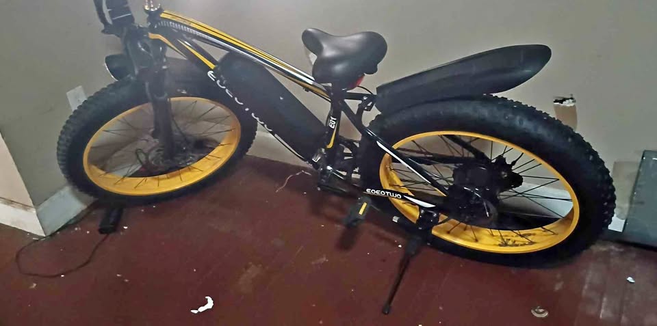 EoEo EoEo Two Ebike Fat tires thumbnail 2